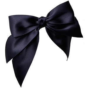 smsr-01
